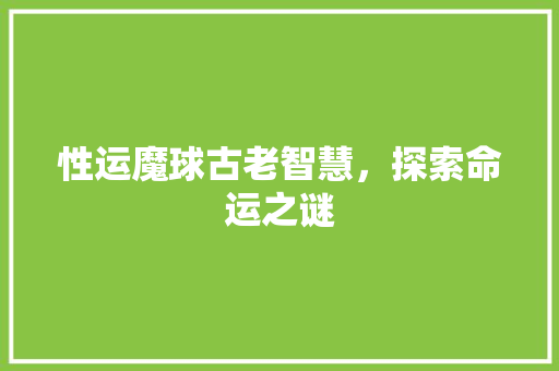 性运魔球古老智慧，探索命运之谜