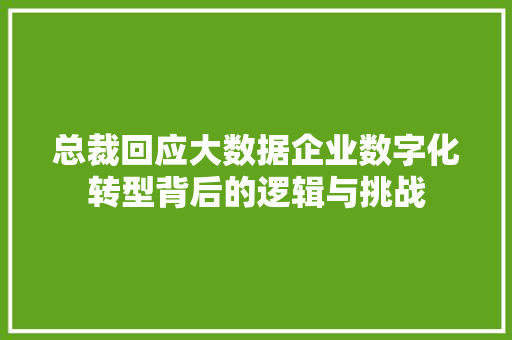总裁回应大数据企业数字化转型背后的逻辑与挑战