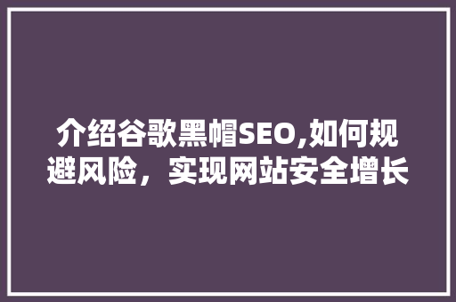 介绍谷歌黑帽SEO,如何规避风险，实现网站安全增长 前端技术