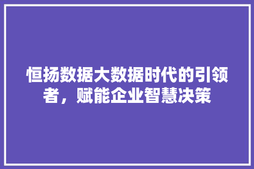恒扬数据大数据时代的引领者，赋能企业智慧决策