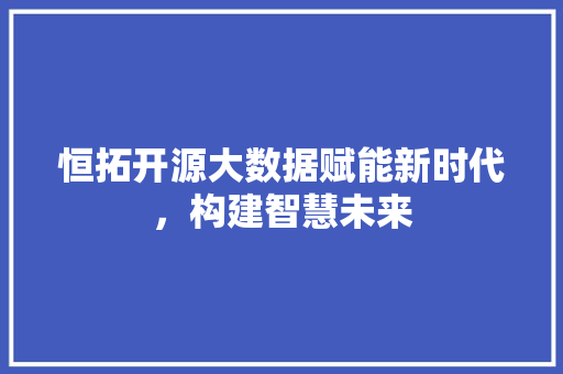 恒拓开源大数据赋能新时代，构建智慧未来
