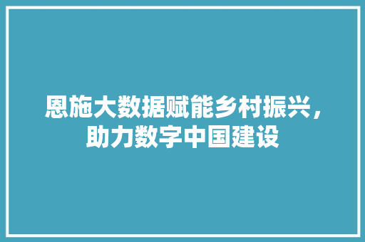 恩施大数据赋能乡村振兴，助力数字中国建设