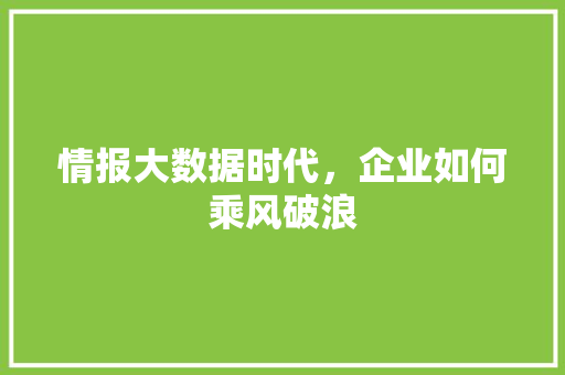 情报大数据时代，企业如何乘风破浪