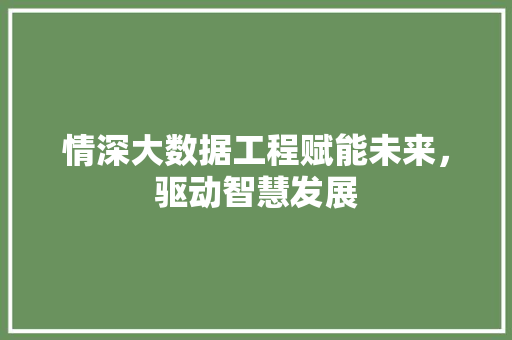 情深大数据工程赋能未来，驱动智慧发展