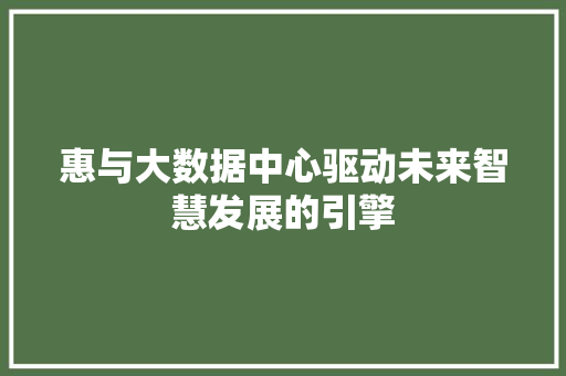 惠与大数据中心驱动未来智慧发展的引擎