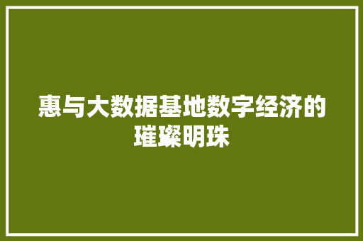 惠与大数据基地数字经济的璀璨明珠
