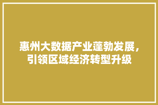 惠州大数据产业蓬勃发展，引领区域经济转型升级
