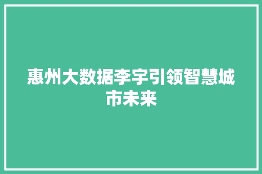 惠州大数据李宇引领智慧城市未来