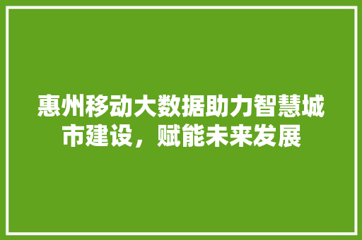 惠州移动大数据助力智慧城市建设，赋能未来发展