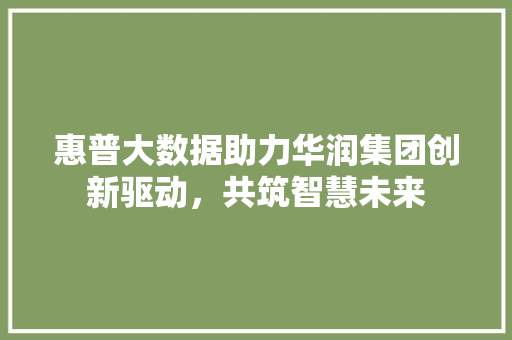 惠普大数据助力华润集团创新驱动，共筑智慧未来
