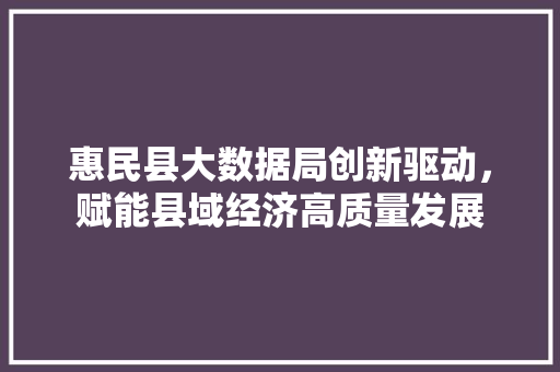 惠民县大数据局创新驱动，赋能县域经济高质量发展