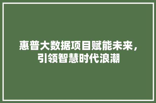 惠普大数据项目赋能未来，引领智慧时代浪潮