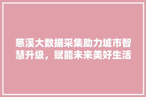 慈溪大数据采集助力城市智慧升级，赋能未来美好生活