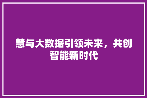 慧与大数据引领未来，共创智能新时代