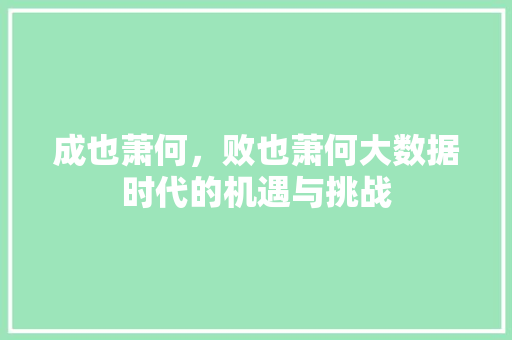 成也萧何，败也萧何大数据时代的机遇与挑战