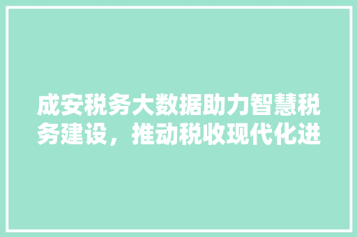 成安税务大数据助力智慧税务建设，推动税收现代化进程