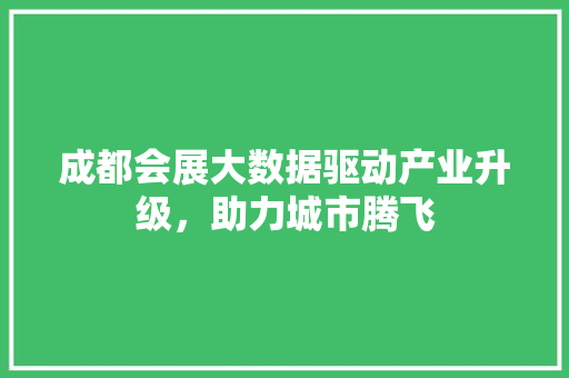 成都会展大数据驱动产业升级，助力城市腾飞