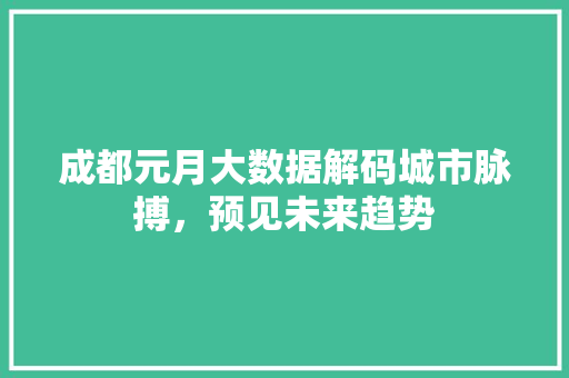 成都元月大数据解码城市脉搏，预见未来趋势