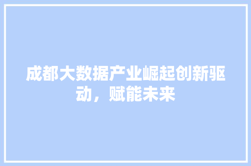 成都大数据产业崛起创新驱动，赋能未来