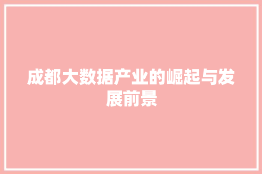 成都大数据产业的崛起与发展前景
