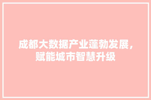 成都大数据产业蓬勃发展，赋能城市智慧升级