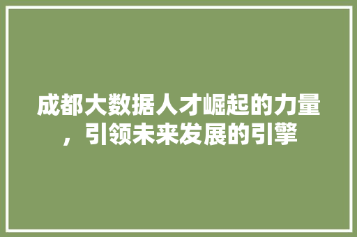 成都大数据人才崛起的力量，引领未来发展的引擎