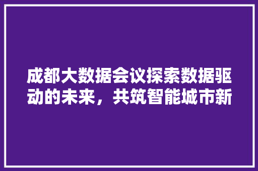 成都大数据会议探索数据驱动的未来，共筑智能城市新篇章