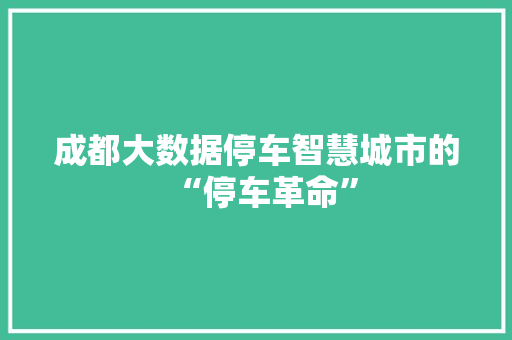 成都大数据停车智慧城市的“停车革命”