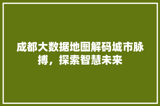 成都大数据地图解码城市脉搏，探索智慧未来