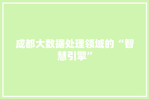 成都大数据处理领域的“智慧引擎”