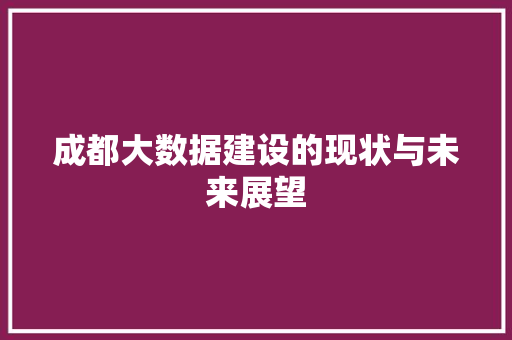 成都大数据建设的现状与未来展望