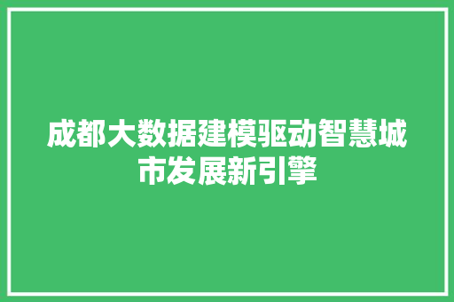 成都大数据建模驱动智慧城市发展新引擎