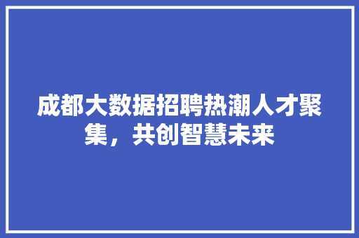 成都大数据招聘热潮人才聚集，共创智慧未来
