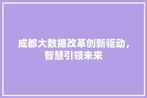 成都大数据改革创新驱动，智慧引领未来