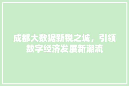 成都大数据新锐之城，引领数字经济发展新潮流