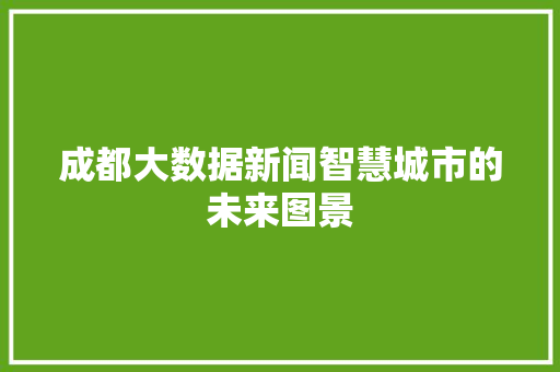 成都大数据新闻智慧城市的未来图景