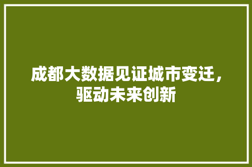 成都大数据见证城市变迁，驱动未来创新