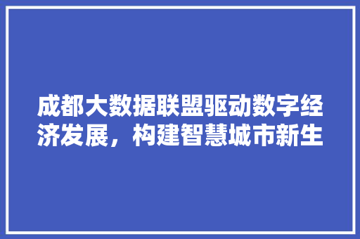 成都大数据联盟驱动数字经济发展，构建智慧城市新生态