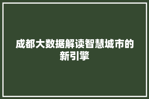 成都大数据解读智慧城市的新引擎