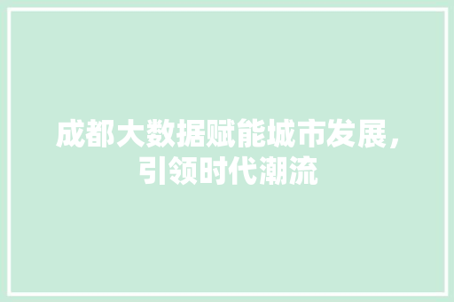成都大数据赋能城市发展，引领时代潮流