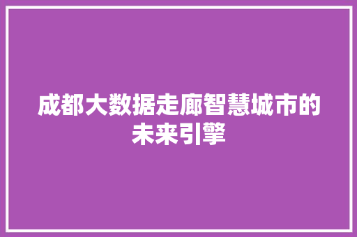 成都大数据走廊智慧城市的未来引擎