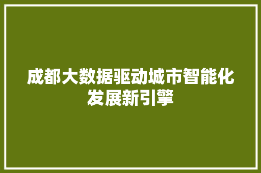 成都大数据驱动城市智能化发展新引擎