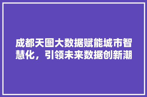 成都天图大数据赋能城市智慧化，引领未来数据创新潮流