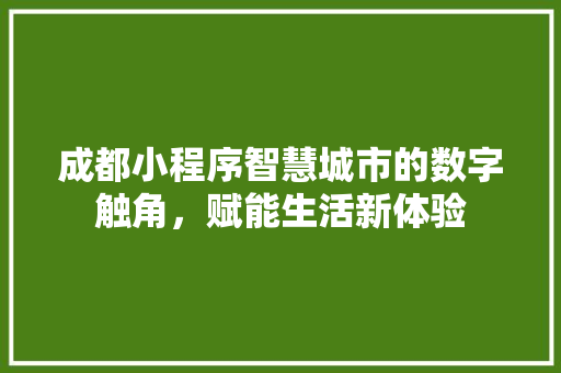 成都小程序智慧城市的数字触角，赋能生活新体验