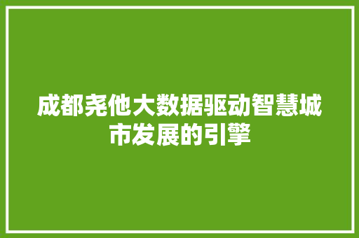 成都尧他大数据驱动智慧城市发展的引擎
