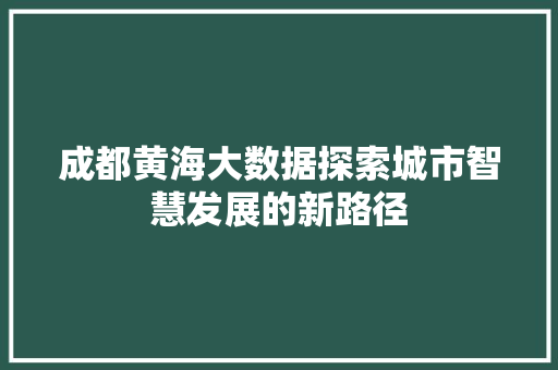 成都黄海大数据探索城市智慧发展的新路径