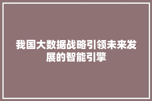 我国大数据战略引领未来发展的智能引擎
