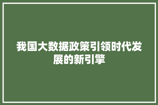 我国大数据政策引领时代发展的新引擎