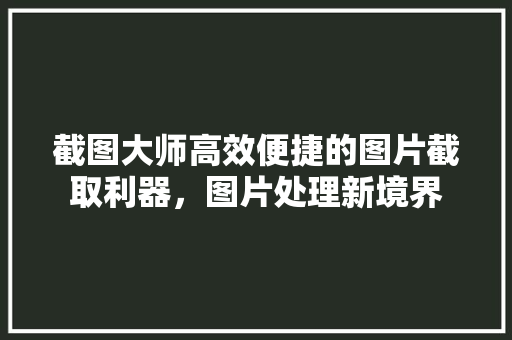 截图大师高效便捷的图片截取利器，图片处理新境界