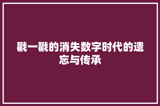 戳一戳的消失数字时代的遗忘与传承